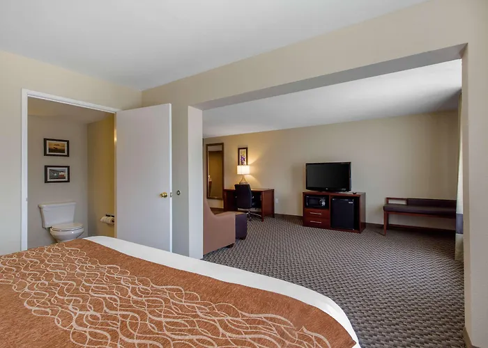 Comfort Inn & Suites Sw Houston Sugarland
